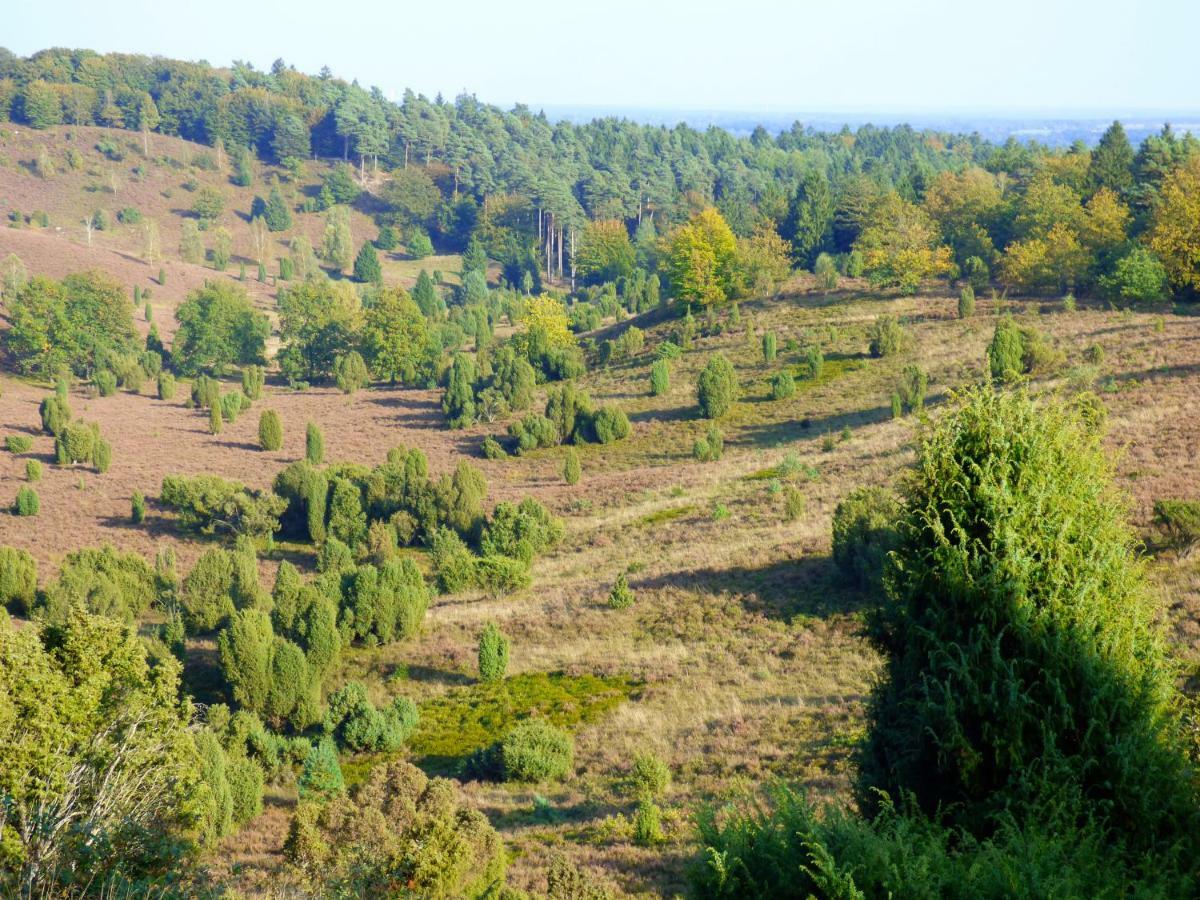 Fewo-Mundi Egestorf Zewnętrze zdjęcie