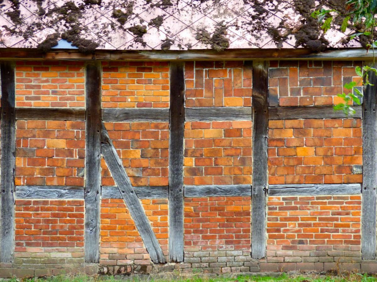 Fewo-Mundi Egestorf Zewnętrze zdjęcie